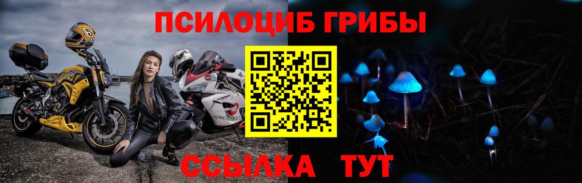 Богородицк  Псилоцибиновые грибы GOLDEN TEACHER  Галлюциногенные грибы Cubensis  Вход с VPN 